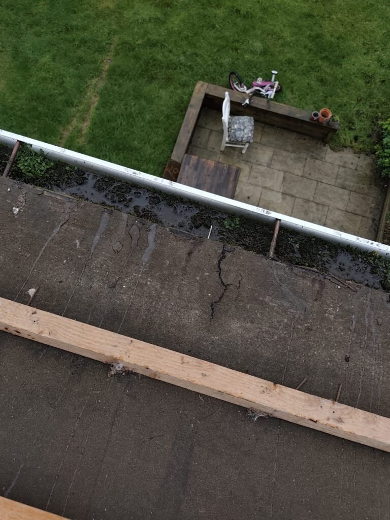 07833fdc b9c6 409f 9e3c a5677f3fbc06