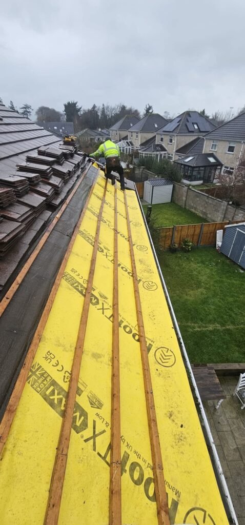 3836eaa1 878d 4f29 98b3 84034f0ee08a 3836eaa1 878d 4f29 98b3 84034f0ee08a