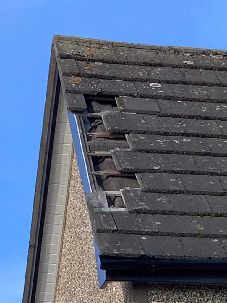 8fcc7f08 07e7 44be 9e34 57226768f024